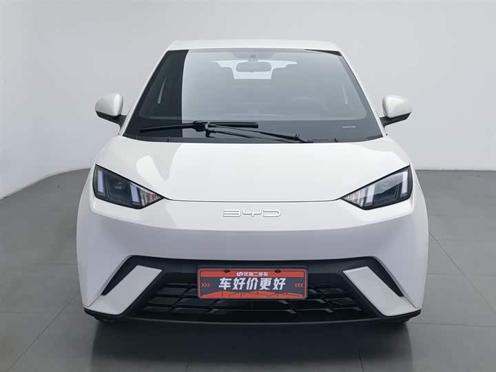 Фото 3 - BYD Seagull