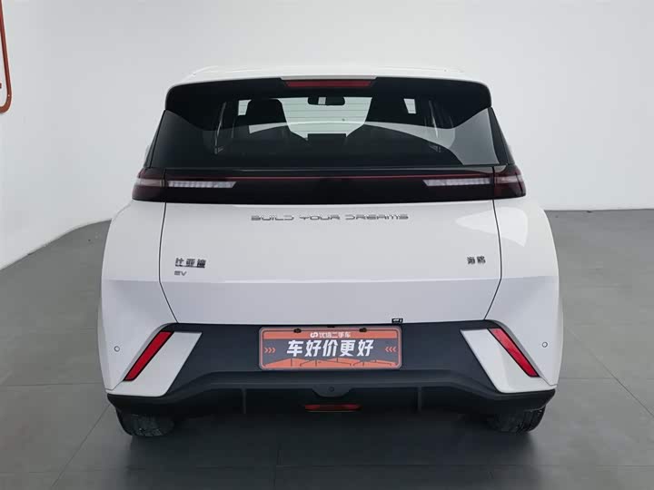 Фото 4 - BYD Seagull