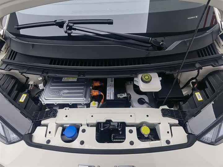 Фото 6 - BYD Seagull