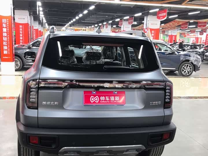 Фото 4 - Haval Dargo