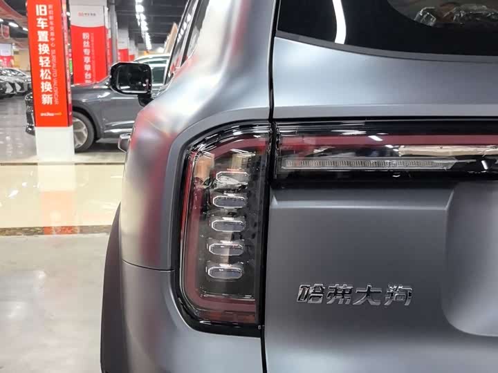 Фото 6 - Haval Dargo