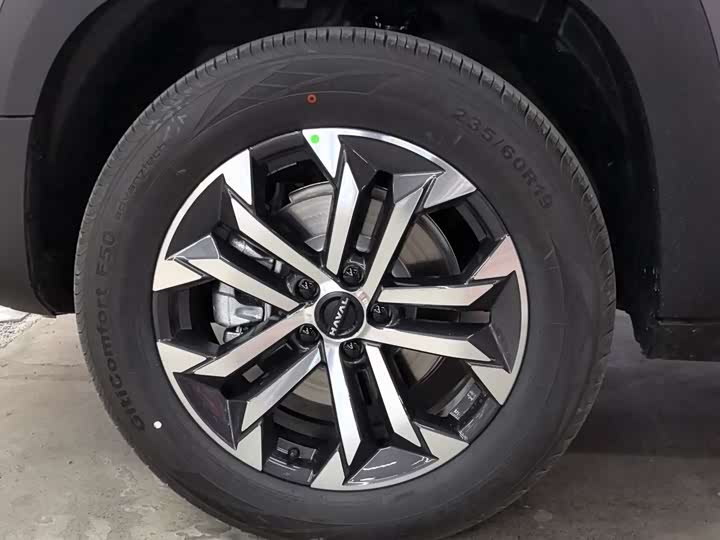 Фото 7 - Haval Dargo