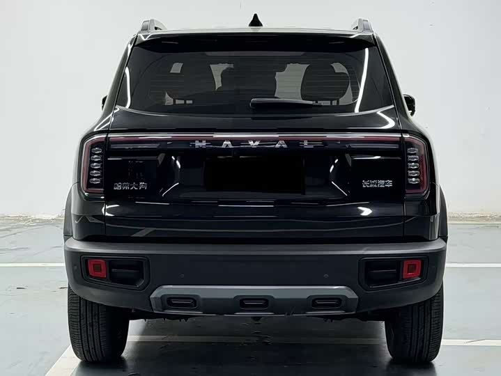 Photo 8 - Haval Dargo