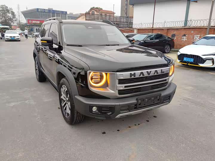 Фото 3 - Haval Dargo