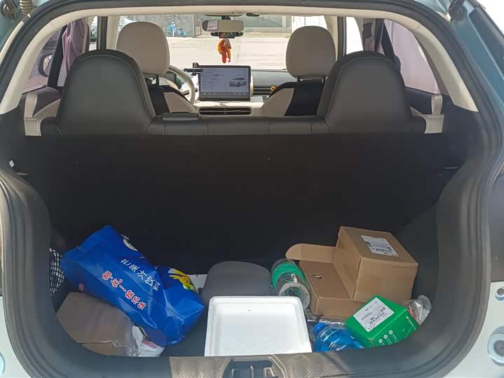 Фото 4 - Dongfeng Yipai 01