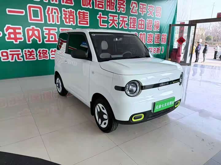 Фото 2 - Geely Galaxy Panda Mini