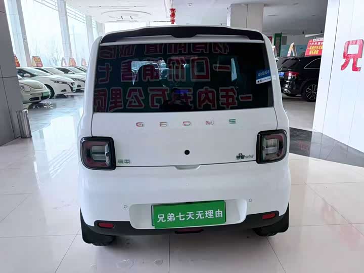 Фото 8 - Geely Galaxy Panda Mini