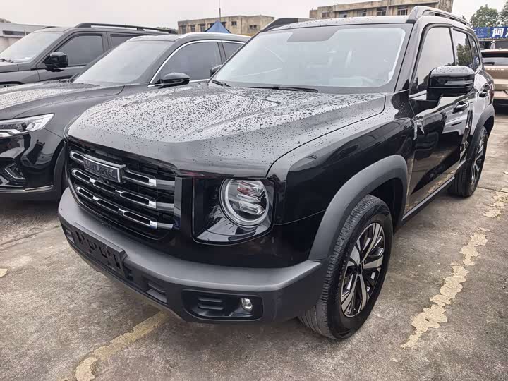 Фото 1 - Haval Dargo