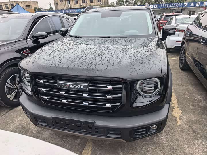 Фото 2 - Haval Dargo