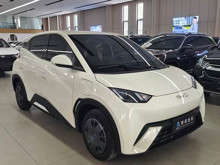 Photo 1 - BYD Seagull