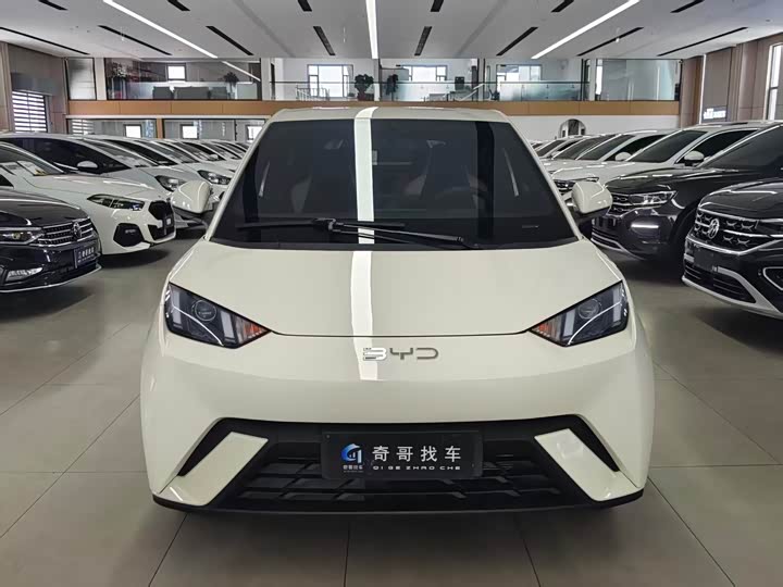 Photo 2 - BYD Seagull