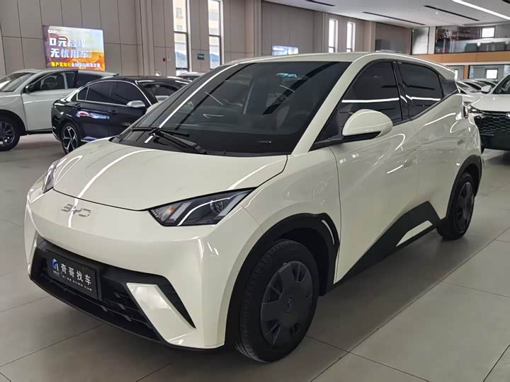 Photo 3 - BYD Seagull