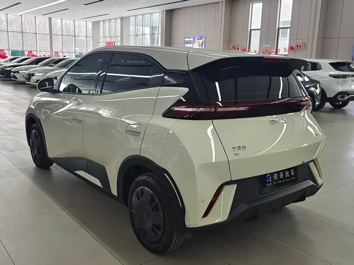 Photo 4 - BYD Seagull