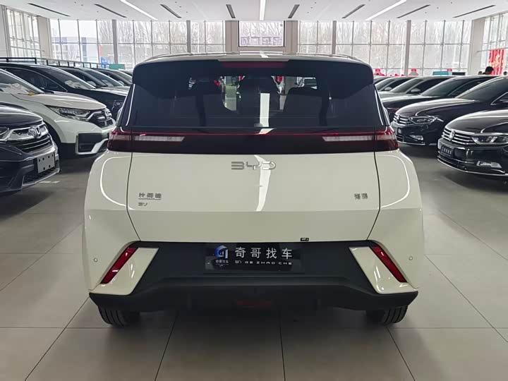 Photo 5 - BYD Seagull