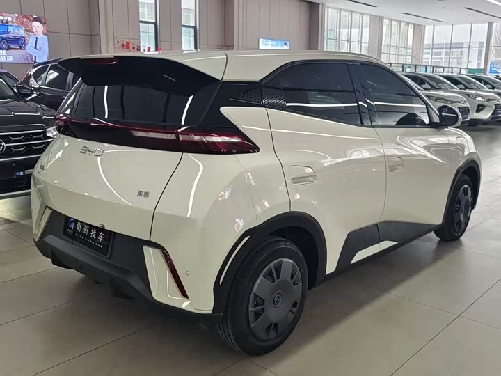 Photo 6 - BYD Seagull