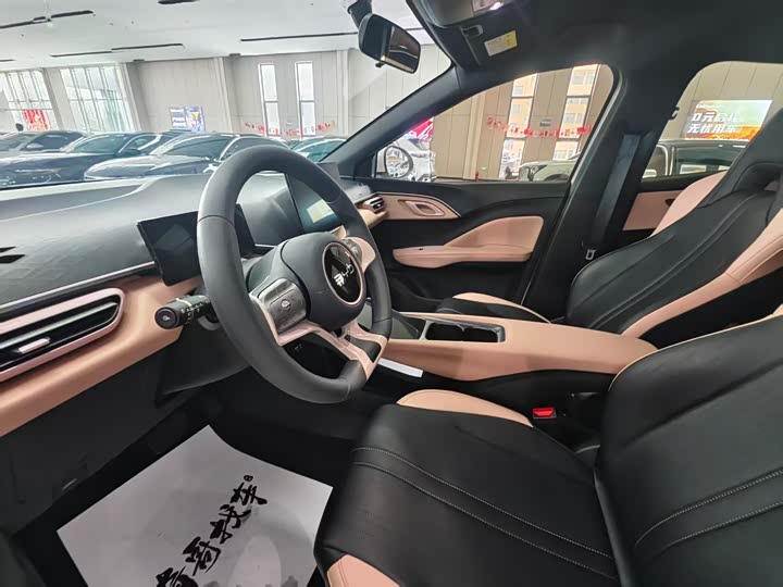 Photo 9 - BYD Seagull