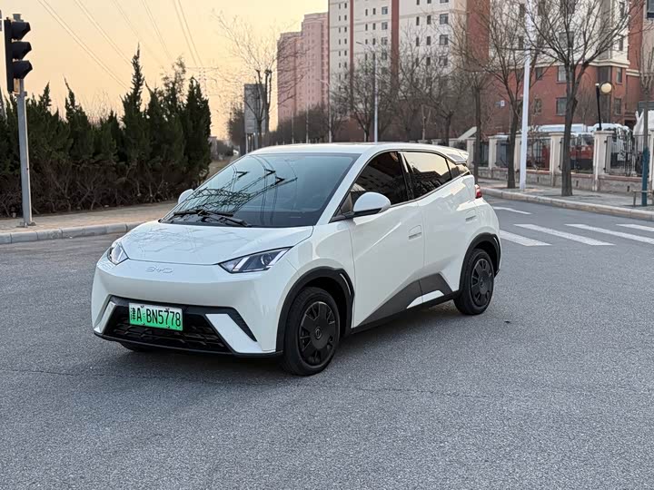 Фото 1 - BYD Seagull