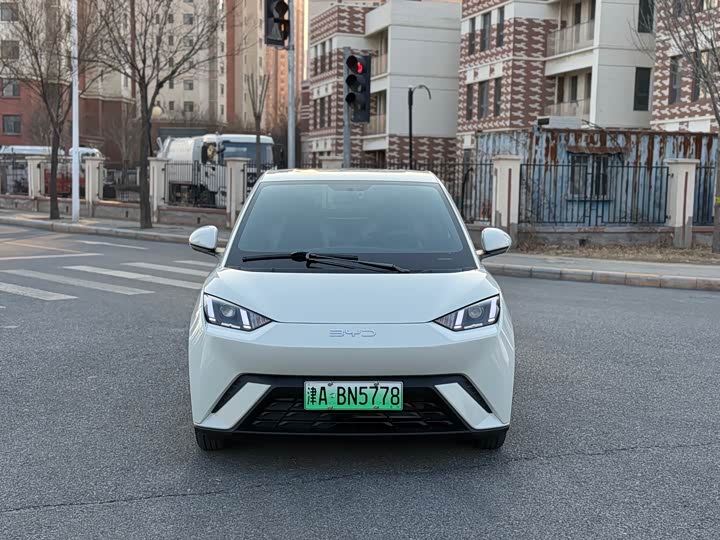 Фото 2 - BYD Seagull