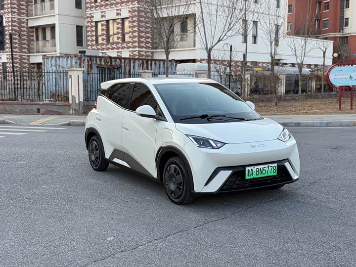 Фото 3 - BYD Seagull