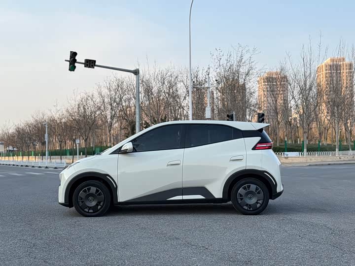 Фото 4 - BYD Seagull