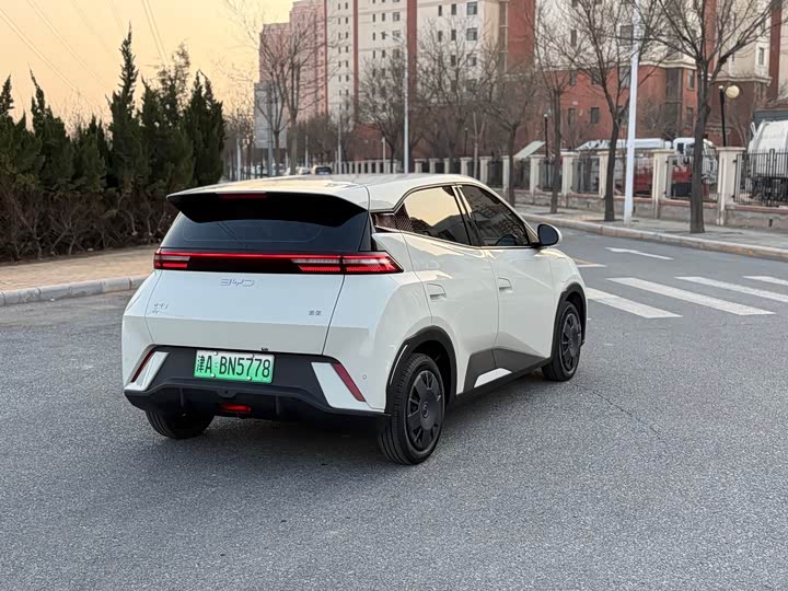 Фото 7 - BYD Seagull