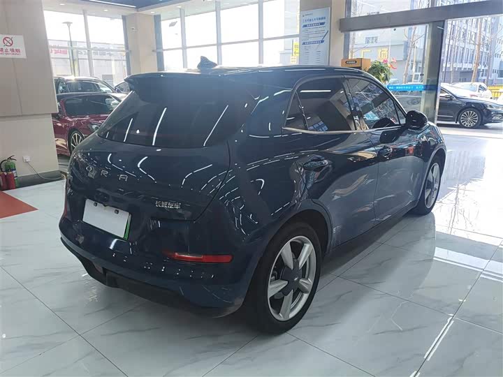 Фото 6 - Ora Good Cat (03)