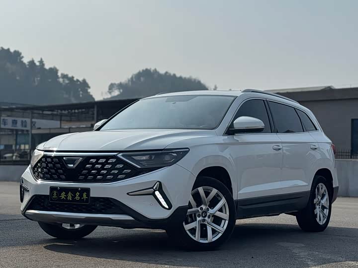 Фото 1 - Jetta VS7