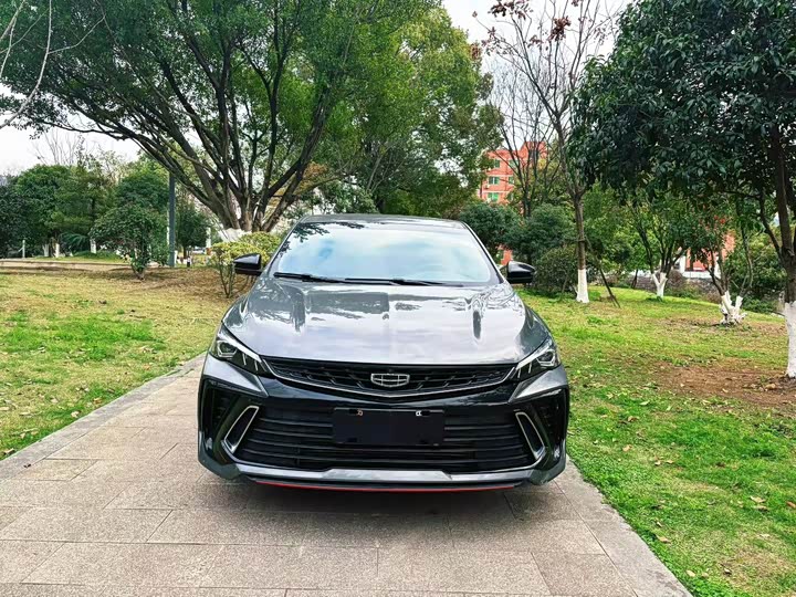 Фото 2 - Geely Binrui