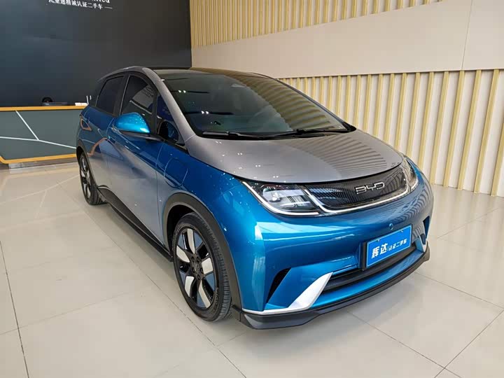 Фото 3 - BYD Dolphin