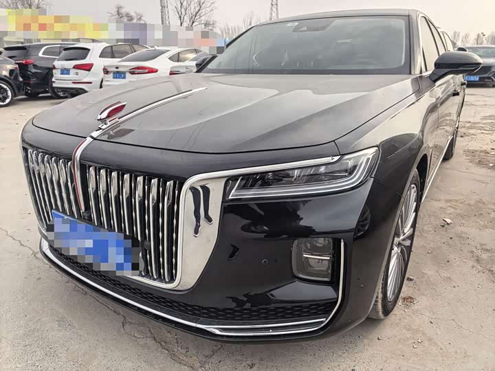 Photo 1 - Hongqi H9
