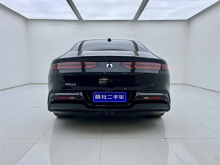 Фото 4 - Denza Z9