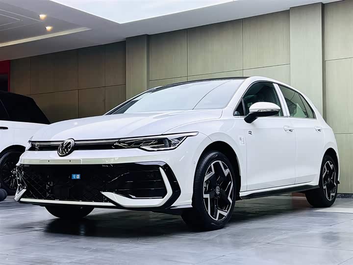 Volkswagen Golf 2025 2025款 改款 300TSI R-Line