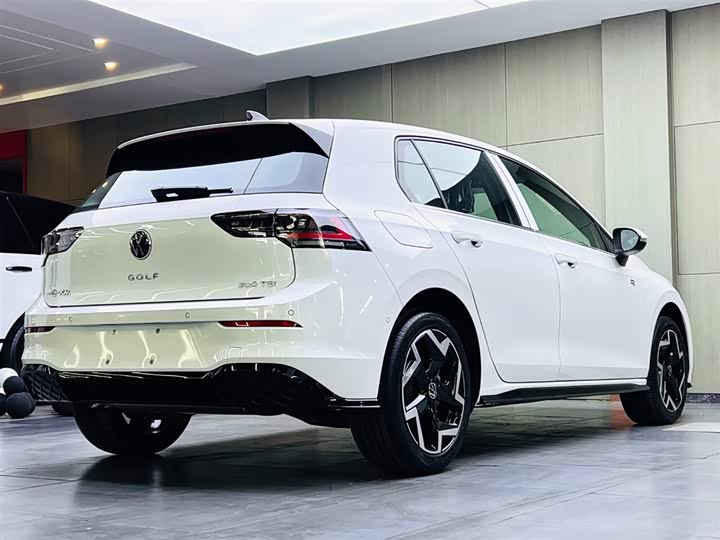 Volkswagen Golf 2025 2025款 改款 300TSI R-Line