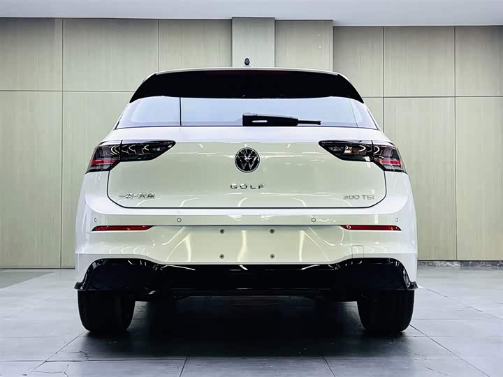 Volkswagen Golf 2025 2025款 改款 300TSI R-Line