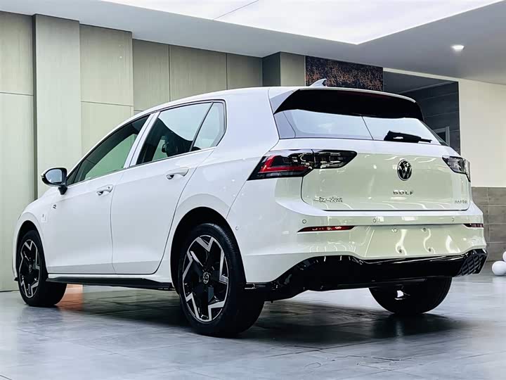 Volkswagen Golf 2025 2025款 改款 300TSI R-Line