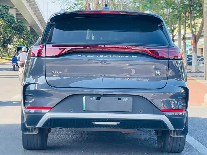 Фото 4 - BYD Tang Hybrid/EV