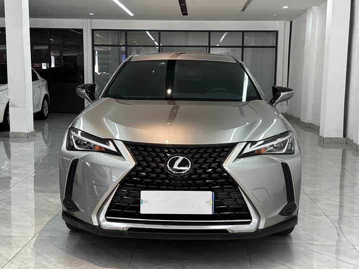 Фото 2 - Lexus UX