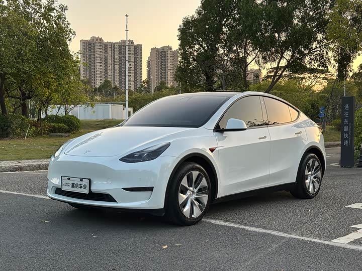 Фото 1 - Tesla Model Y