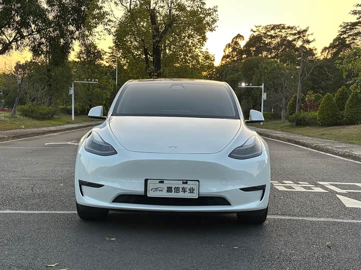Фото 2 - Tesla Model Y