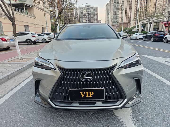 Фото 3 - Lexus NX