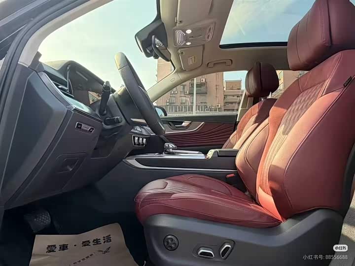 Photo 8 - Hongqi HS5