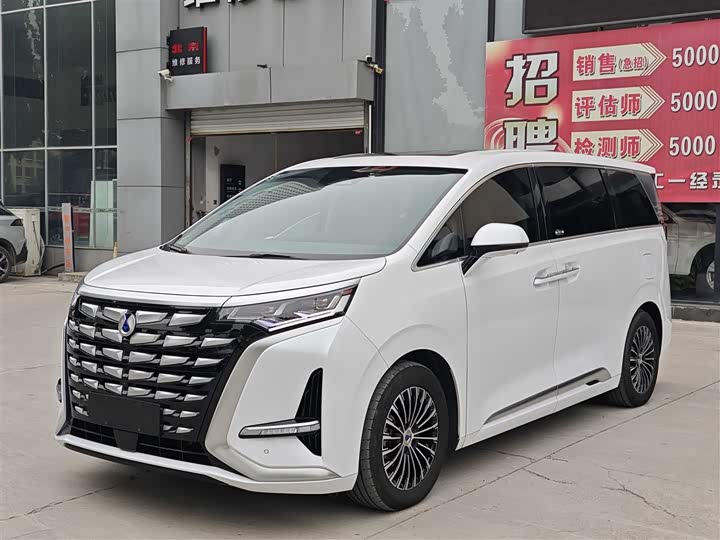 Фото 1 - Denza D9