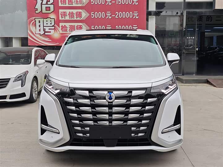 Фото 2 - Denza D9