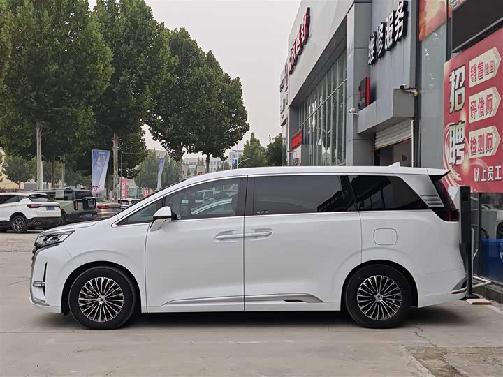 Фото 3 - Denza D9