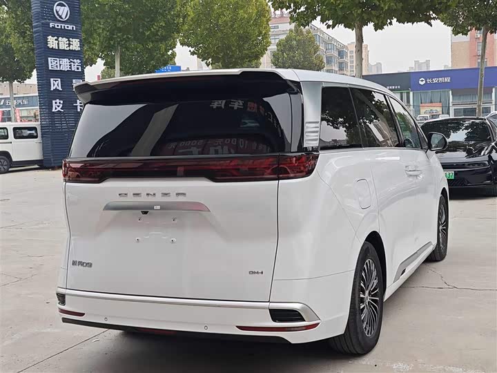 Фото 4 - Denza D9