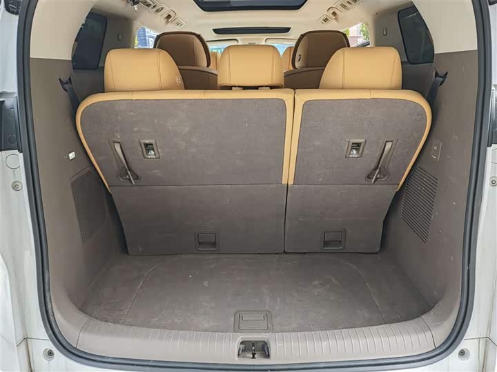 Фото 8 - Denza D9