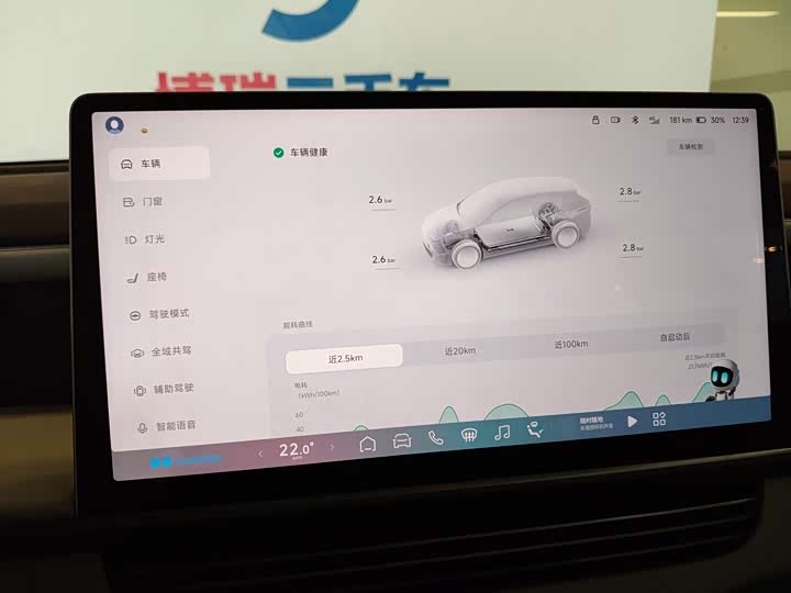 Фото 9 - XPeng G6