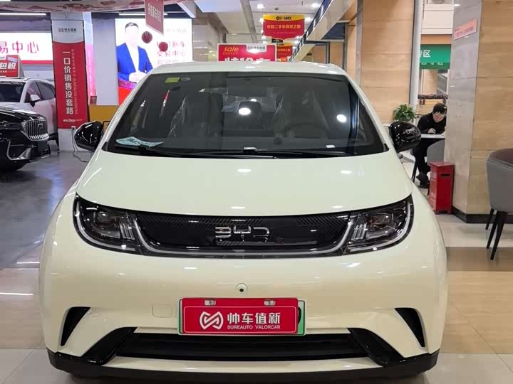 Фото 2 - BYD Dolphin