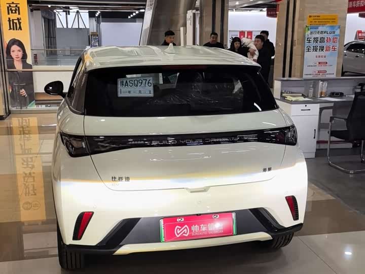 Фото 4 - BYD Dolphin