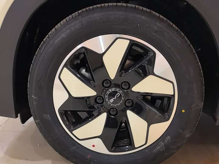 Фото 7 - BYD Dolphin